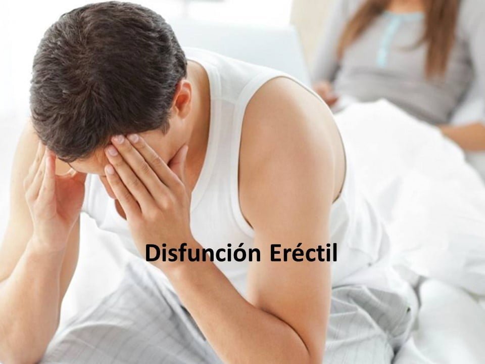 Diapositiva4